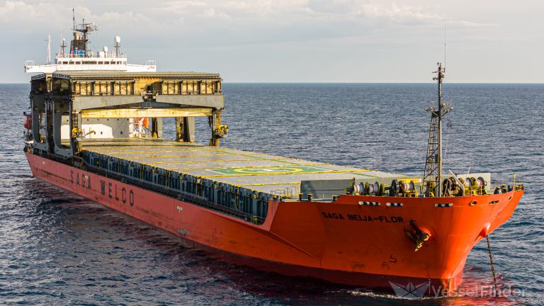 SAGA BEIJA-FLOR photo