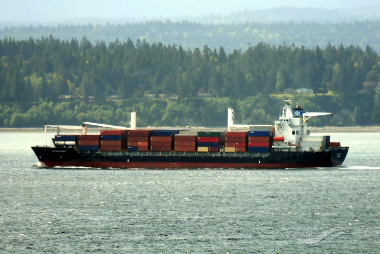 XIN LONG YUN 86 photo