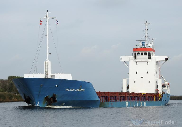 WILSON MONSOON photo