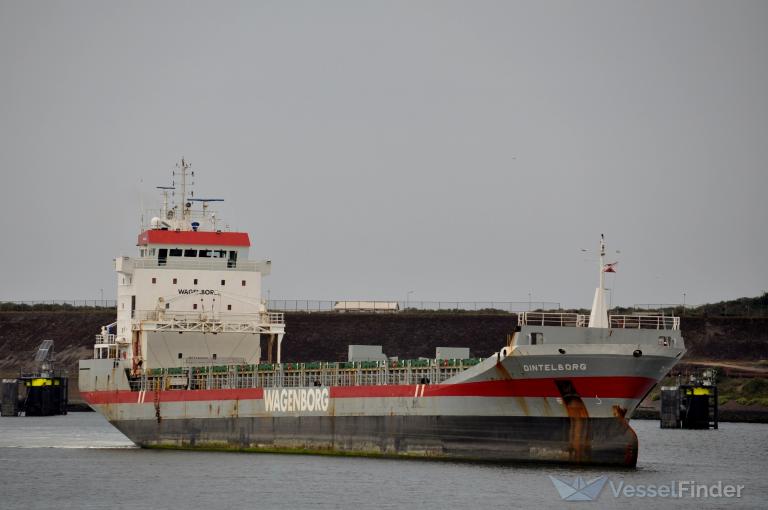 DINTELBORG photo