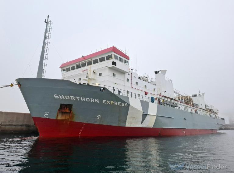 SHORTHORN EXPRESS photo