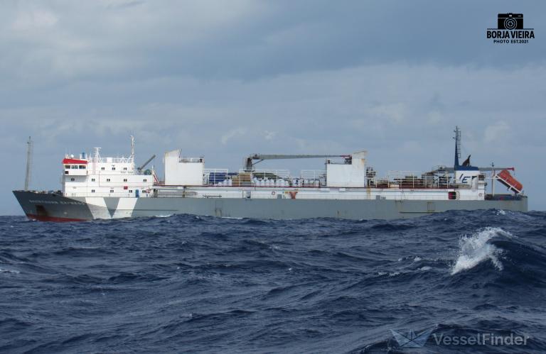 SHORTHORN EXPRESS photo