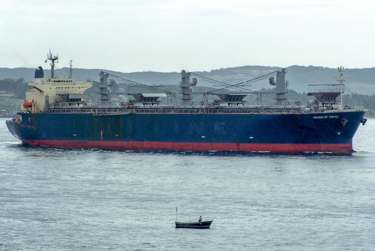 THANH THANH DAT 899 photo