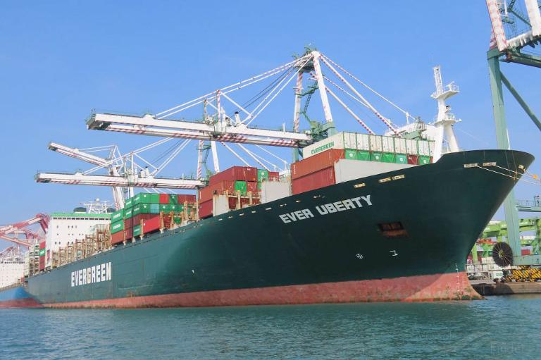 MSC FLORIANA VI photo