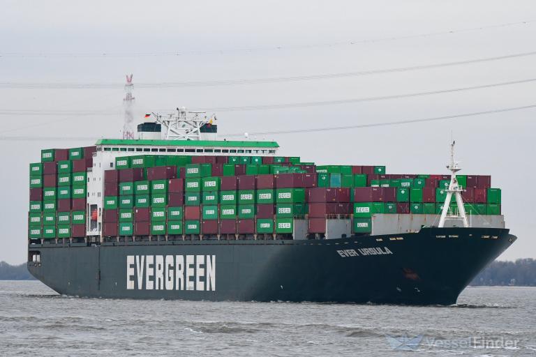 MSC URSULA VI photo