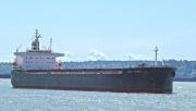 King Coal Bulk Carrier Details And Current Position Imo 9476939 Mmsi 355980000 Vesselfinder