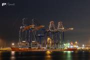 ZHEN-HUA-31