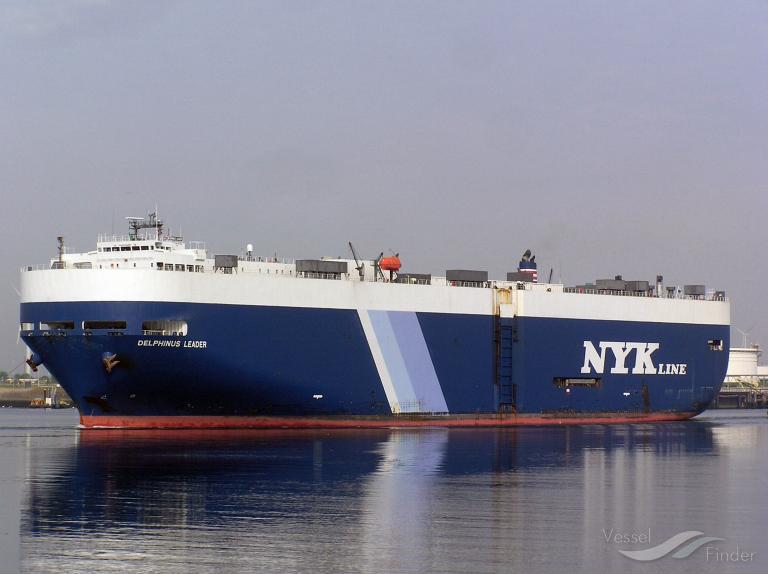 DELPHINUS LEADER photo