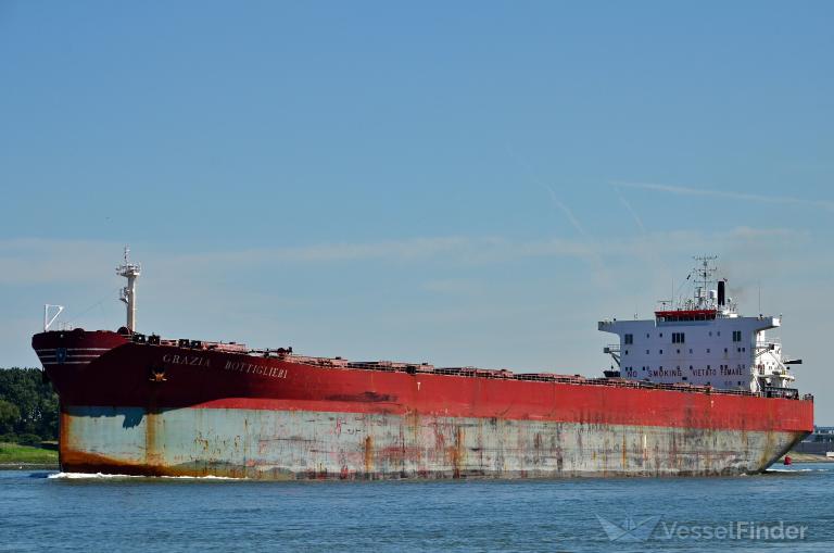 DONG JIANG YOU photo