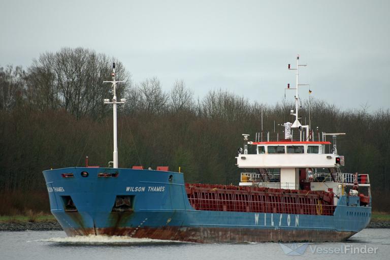 WILSON THAMES photo