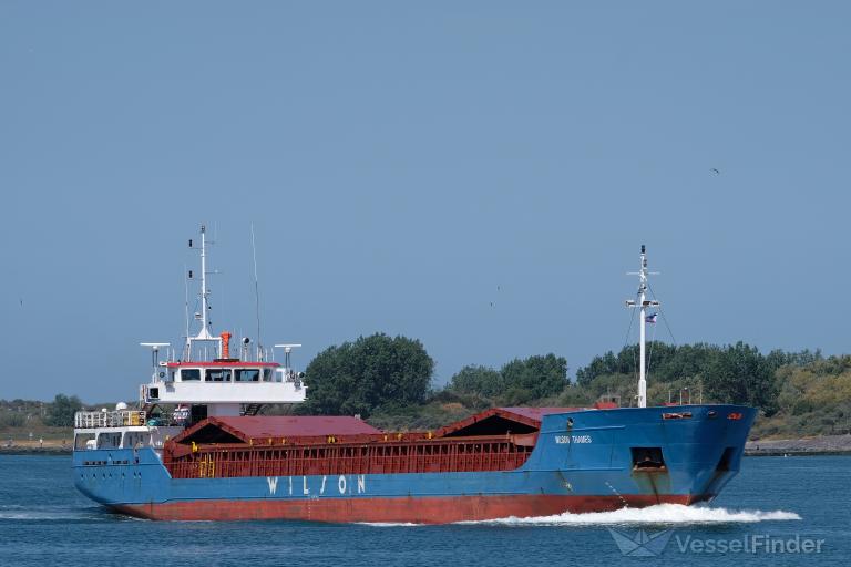 WILSON THAMES