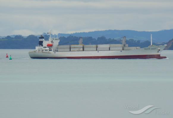 PACIFIC VIOLET photo
