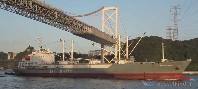 GREENSEA LUCENA photo