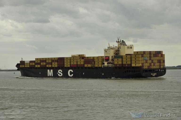 MSC INGRID