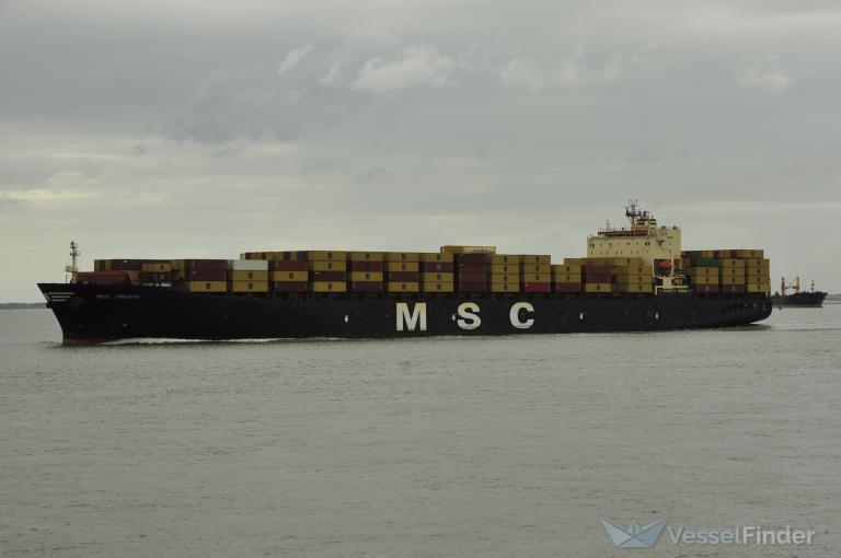 MSC INGRID