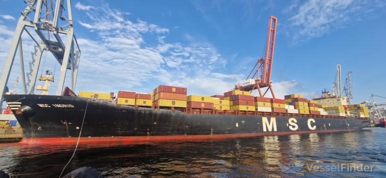 MSC INGRID