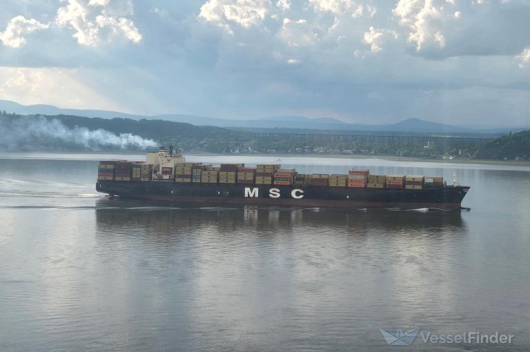 MSC MATILDE V