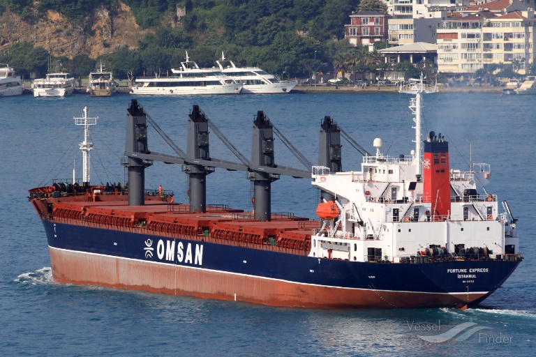 FORTUNE EXPRESS, Bulk Carrier Details and current position IMO