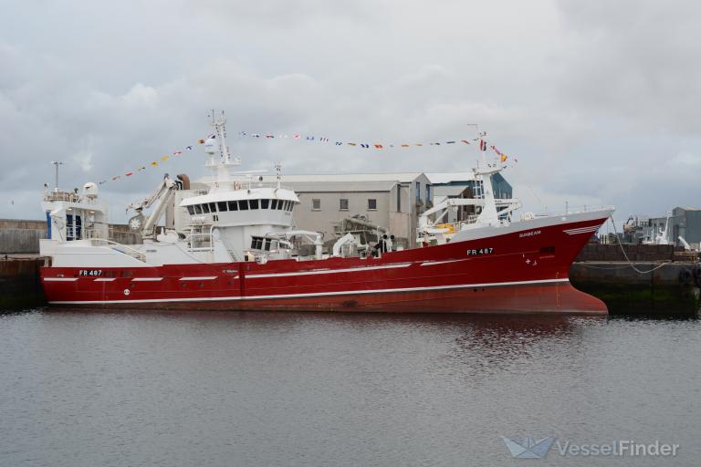 SUNBEAM C16691 photo