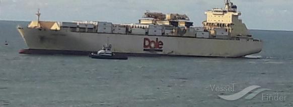 DOLE CHILE photo