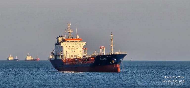 101 HYODONG CHEMI photo