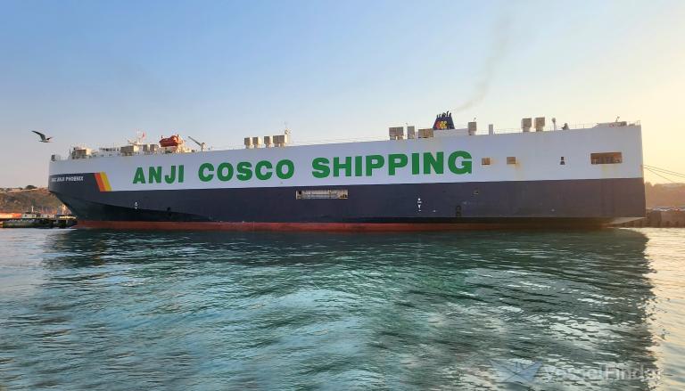 SAIC ANJI PHOENIX photo