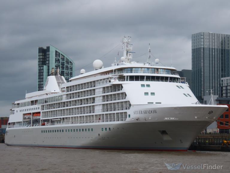 SILVER SHADOW photo