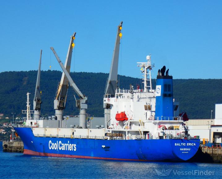 BALTIC ERICA photo