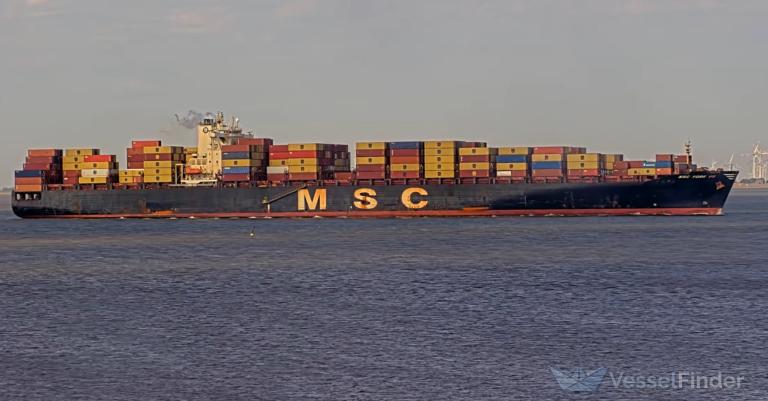 MSC YORK VII