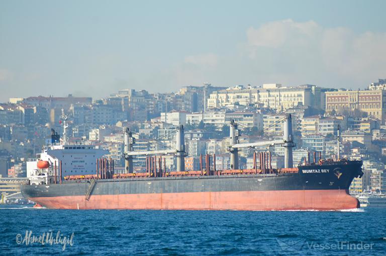 MV SEA PEARL S photo