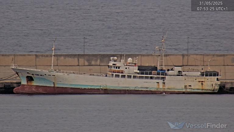 JIN FENG NO. 1 photo