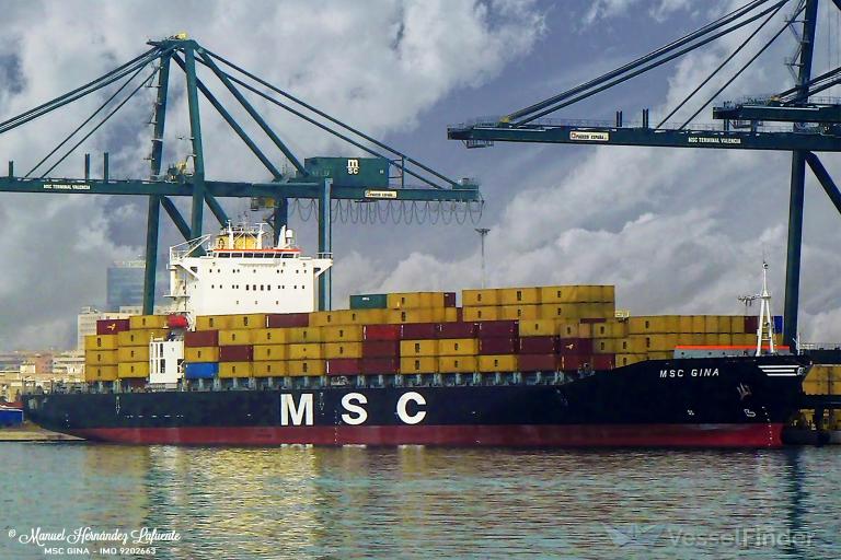 MSC GINA photo