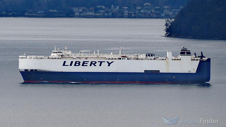 LIBERTY KING photo
