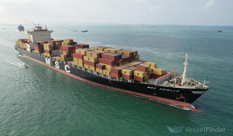 MSC ANIELLO photo