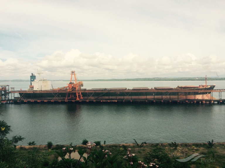 ZHONG CHI SHENG HAI photo