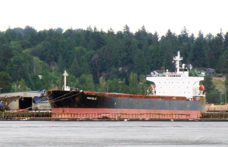 GLOBAL PANTELIS photo