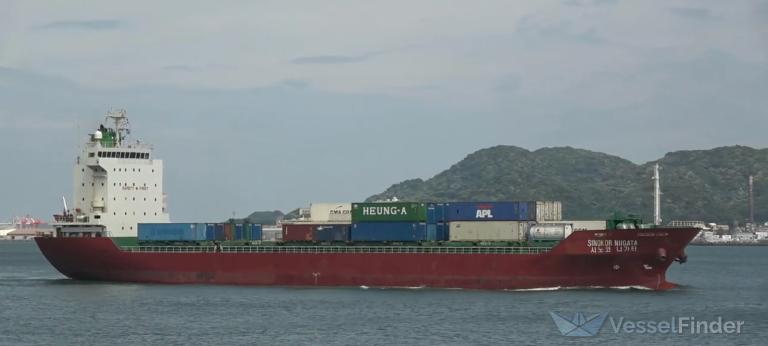 SINOKOR NIIGATA photo