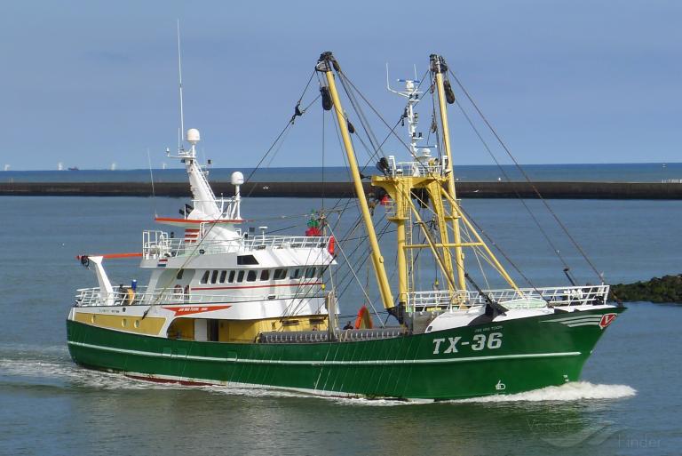 TX 36 JAN VAN TOON photo