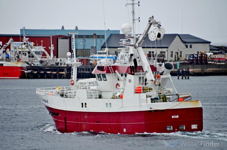 OKSNESVAERING 2 photo