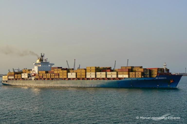 MARE ATLANTICUM-1 photo