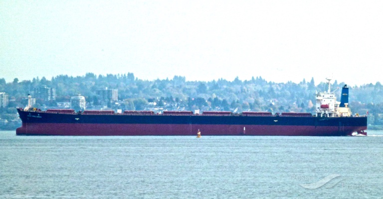 GREAT INTELLIGENCE photo