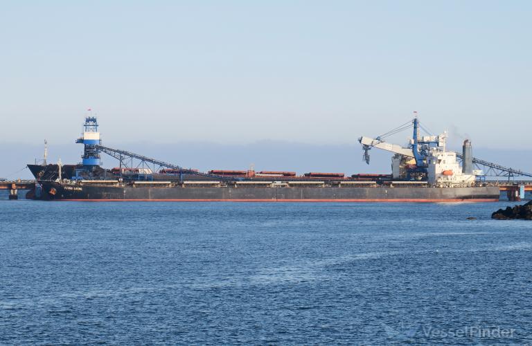 VELA QUEEN photo