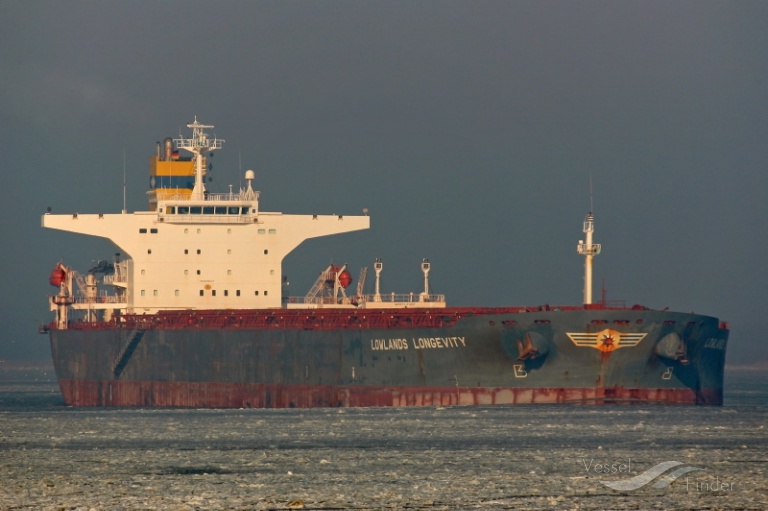 XIN FU OCEAN photo