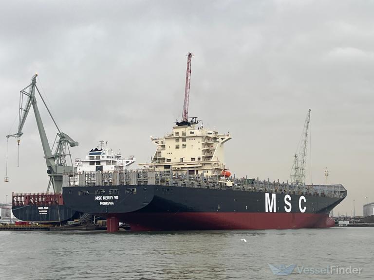 MSC KERRY VII