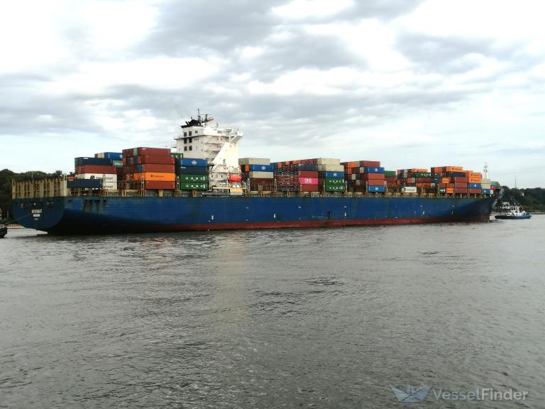 MSC SOPHIE VII photo
