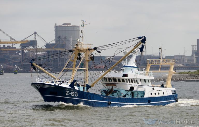 FV Z60 BLUE ANGEL photo