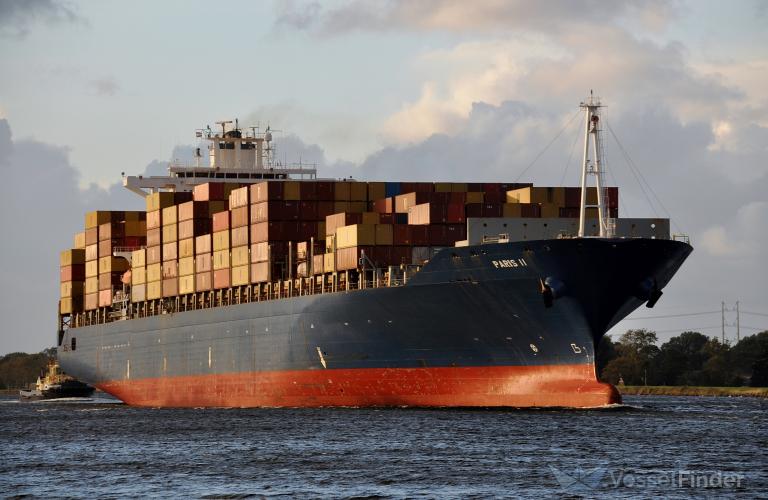 MSC BRASILIA VII photo