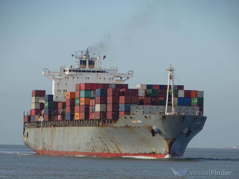 MSC PETRA photo