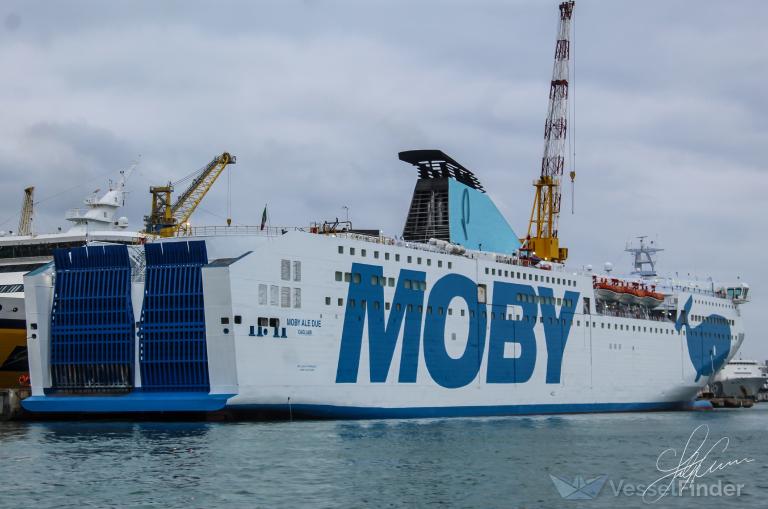 MOBY ALE DUE