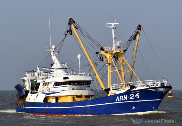 ARM24 BLAAS SENIOR photo